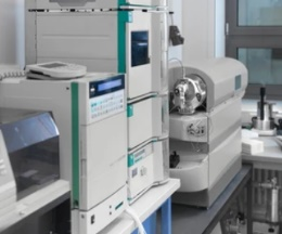 Aging Proteome Analysis