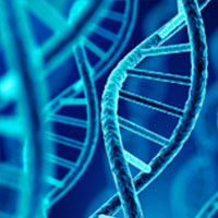 DNA METHYLATION AGING CLOCKS
