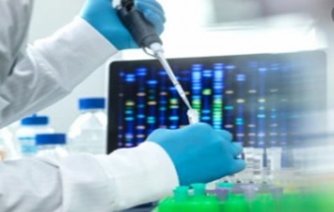 Genome-wide DNA methylation analysis