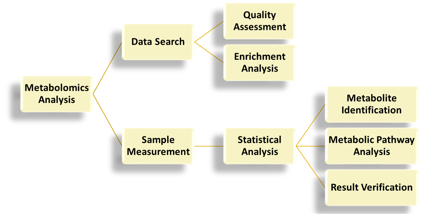 The workflow of aging-related metabolite biomarker discovery service — CD BioSciences