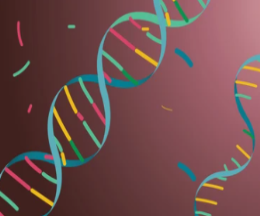 Aging Transcriptome Analysis