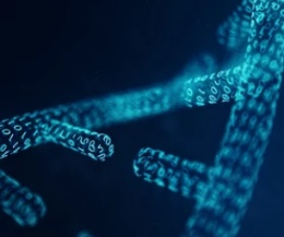 DNA Methylation Dynamics Analysis